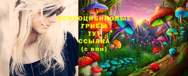 герыч Богданович